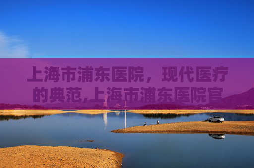 上海市浦东医院，现代医疗的典范,上海市浦东医院官网