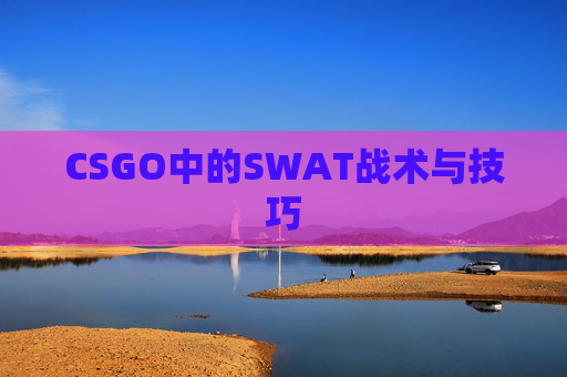CSGO中的SWAT战术与技巧