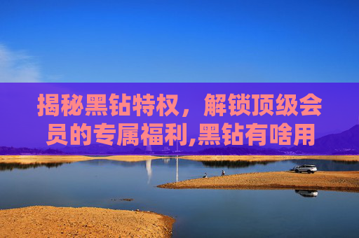 揭秘黑钻特权，解锁顶级会员的专属福利,黑钻有啥用
