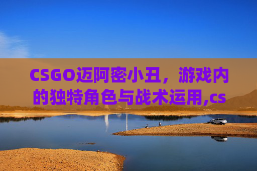 CSGO迈阿密小丑，游戏内的独特角色与战术运用,csgo迈阿密多少钱
