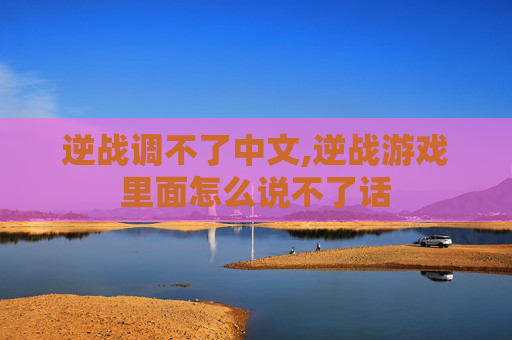 逆战调不了中文,逆战游戏里面怎么说不了话