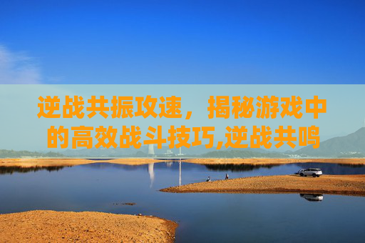 逆战共振攻速，揭秘游戏中的高效战斗技巧,逆战共鸣