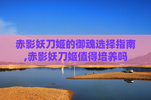 赤影妖刀姬的御魂选择指南,赤影妖刀姬值得培养吗