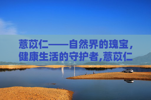薏苡仁——自然界的瑰宝，健康生活的守护者,薏苡仁的功效与作用是什么