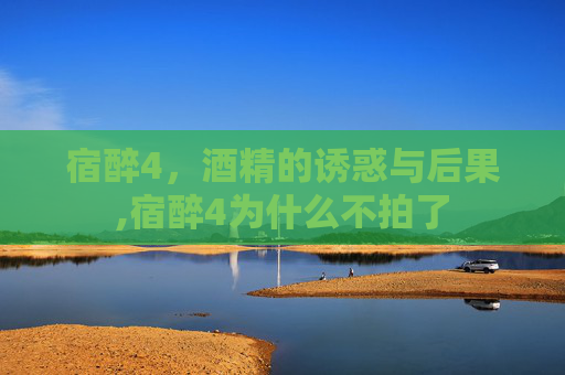 宿醉4，酒精的诱惑与后果,宿醉4为什么不拍了