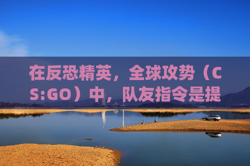 在反恐精英，全球攻势（CS:GO）中，队友指令是提高团队协作和战术执行的关键。以下是一些有效的队友指令，可以帮助你在游戏中更好地与队友合作。,csgo击杀队友指令