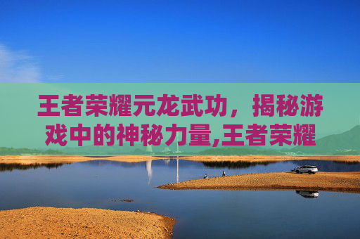 王者荣耀元龙武功，揭秘游戏中的神秘力量,王者荣耀元龙武功值多少钱