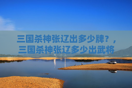 三国杀神张辽出多少牌？,三国杀神张辽多少出武将