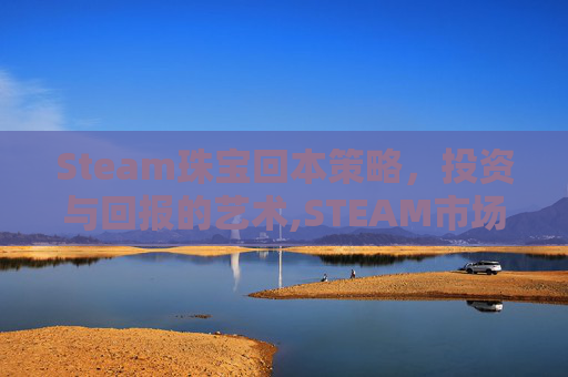 Steam珠宝回本策略，投资与回报的艺术,STEAM市场饰品手续费计算