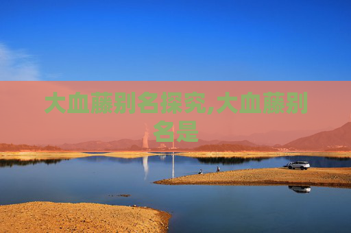 大血藤别名探究,大血藤别名是