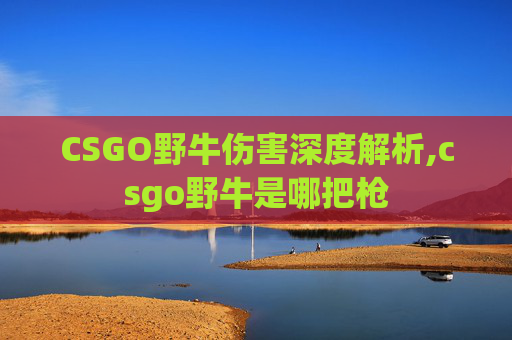 CSGO野牛伤害深度解析,csgo野牛是哪把枪