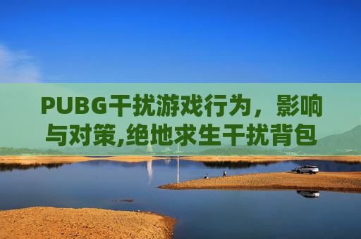 PUBG干扰游戏行为，影响与对策,绝地求生干扰背包有什么用