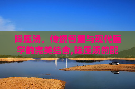 降压汤，传统智慧与现代医学的完美结合,降压汤的配方大全