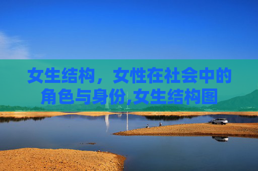 女生结构，女性在社会中的角色与身份,女生结构图