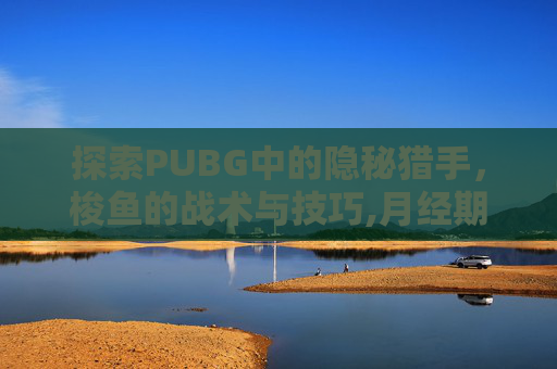 探索PUBG中的隐秘猎手，梭鱼的战术与技巧,月经期喝冰的会怎样