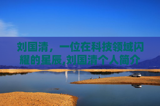 刘国清，一位在科技领域闪耀的星辰,刘国清个人简介