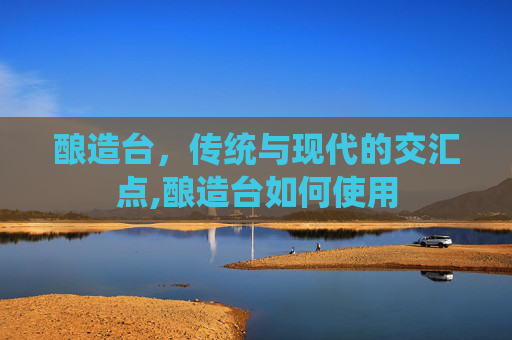 酿造台，传统与现代的交汇点,酿造台如何使用