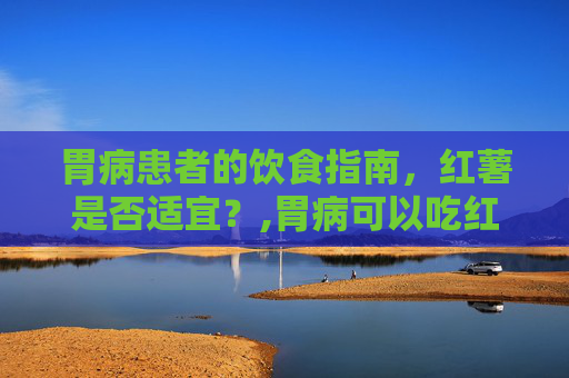 胃病患者的饮食指南，红薯是否适宜？,胃病可以吃红薯吗?