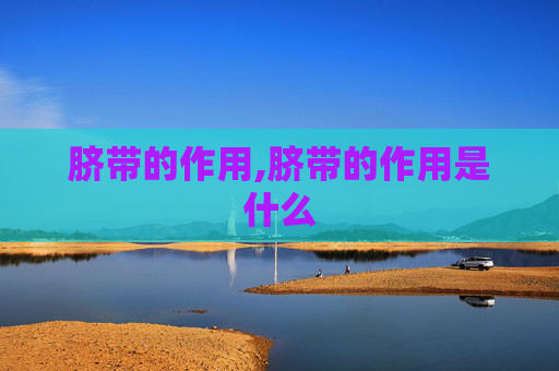 脐带的作用,脐带的作用是什么