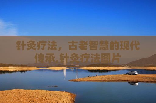 针灸疗法，古老智慧的现代传承,针灸疗法图片