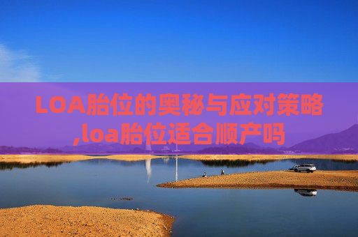 LOA胎位的奥秘与应对策略,loa胎位适合顺产吗
