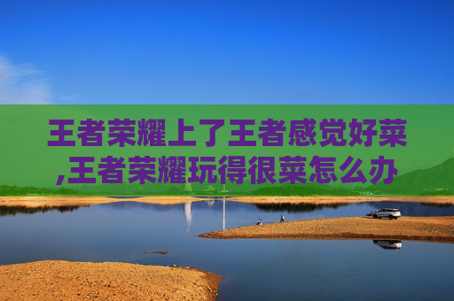 王者荣耀上了王者感觉好菜,王者荣耀玩得很菜怎么办