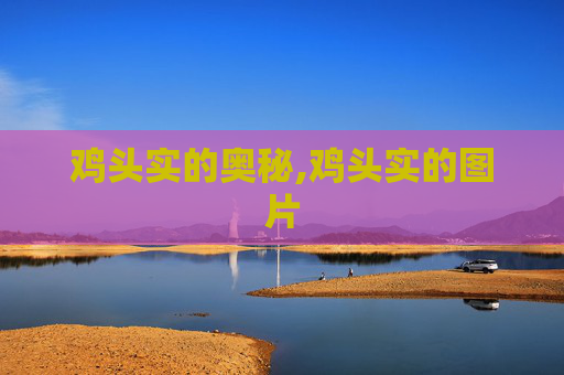 鸡头实的奥秘,鸡头实的图片