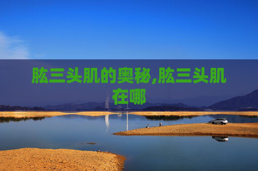 肱三头肌的奥秘,肱三头肌在哪