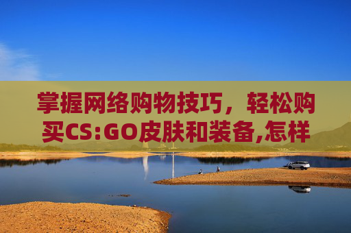 掌握网络购物技巧，轻松购买CS:GO皮肤和装备,怎样在网上买车险