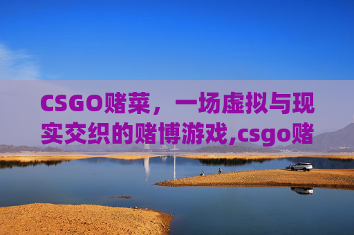 CSGO赌菜，一场虚拟与现实交织的赌博游戏,csgo赌博