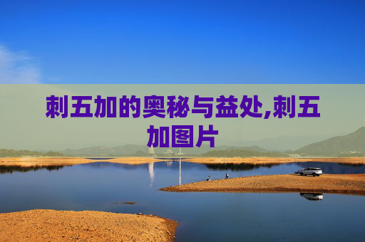 刺五加的奥秘与益处,刺五加图片