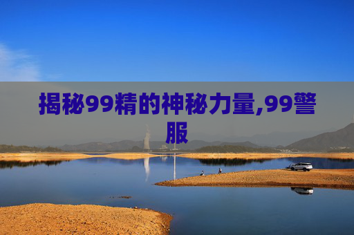 揭秘99精的神秘力量,99警服