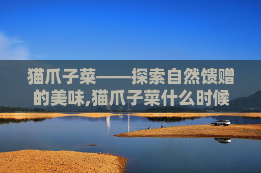 猫爪子菜——探索自然馈赠的美味,猫爪子菜什么时候种
