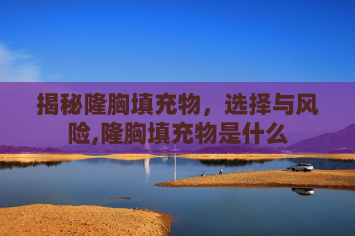 揭秘隆胸填充物，选择与风险,隆胸填充物是什么
