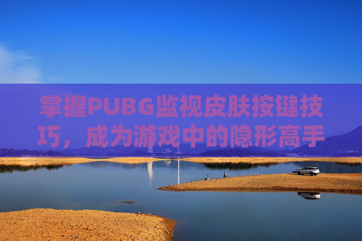 掌握PUBG监视皮肤按键技巧，成为游戏中的隐形高手,PUBG监视武器