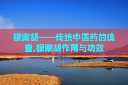 银柴胡——传统中医药的瑰宝,银柴胡作用与功效 银柴胡——传统中医药的瑰宝,银柴胡作用与功效