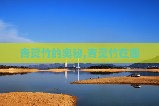 青灵竹的奥秘,青灵竹在哪 青灵竹的奥秘,青灵竹在哪