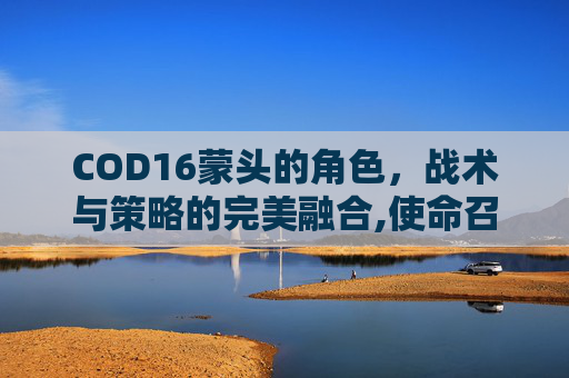 COD16蒙头的角色，战术与策略的完美融合,使命召唤16西蒙莱利
