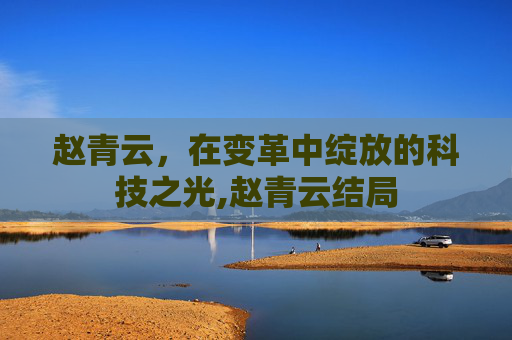 赵青云，在变革中绽放的科技之光,赵青云结局