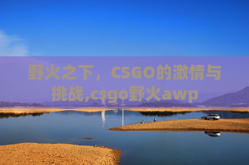 野火之下，CSGO的激情与挑战,csgo野火awp