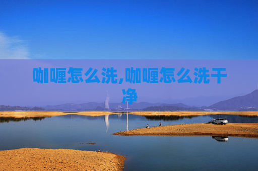 咖喱怎么洗,咖喱怎么洗干净