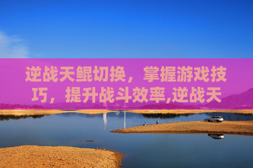 逆战天鲲切换，掌握游戏技巧，提升战斗效率,逆战天鲲套网页