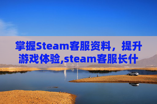 掌握Steam客服资料，提升游戏体验,steam客服长什么样