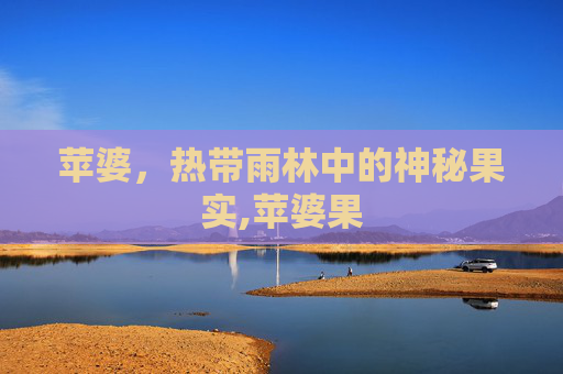 苹婆，热带雨林中的神秘果实,苹婆果