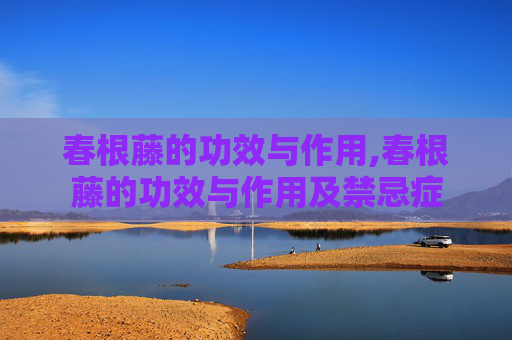 春根藤的功效与作用,春根藤的功效与作用及禁忌症