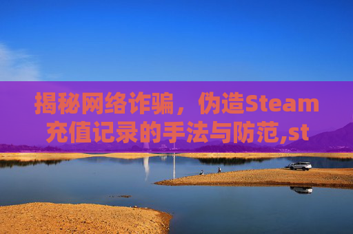 揭秘网络诈骗，伪造Steam充值记录的手法与防范,steam充值记录怎么看