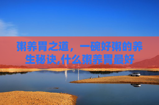 粥养胃之道，一碗好粥的养生秘诀,什么粥养胃最好