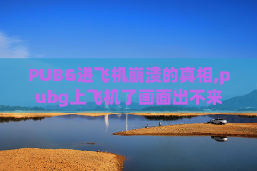 PUBG进飞机崩溃的真相,pubg上飞机了画面出不来