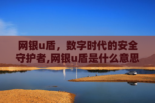 网银u盾，数字时代的安全守护者,网银u盾是什么意思