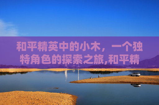 和平精英中的小木，一个独特角色的探索之旅,和平精英小木屋有地下室吗